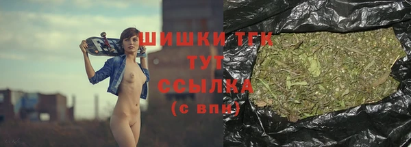 spice Верея