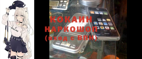 spice Верея