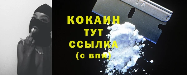 spice Верея