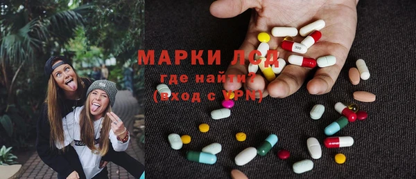 spice Верея